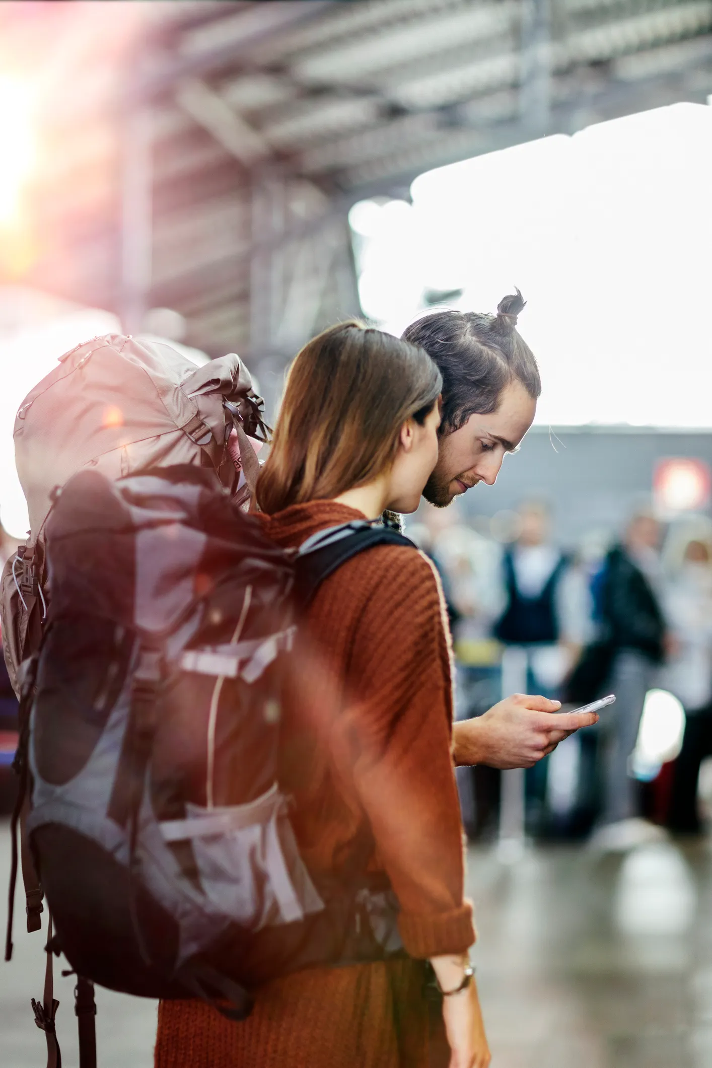 ”son ta” tree - Toxicodendron vernicifluum (Son Ta Phu Tho - Rhus Succedanea paint in Phu Tho)
