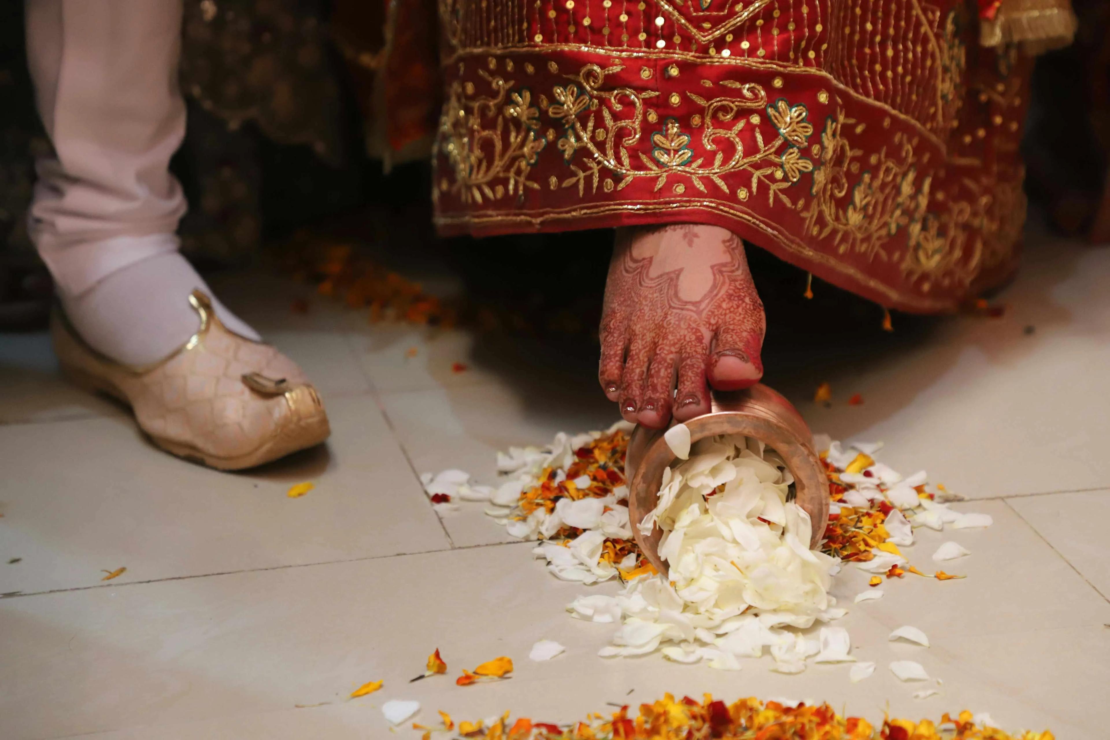 pexels-darshandave-36393387 (1)