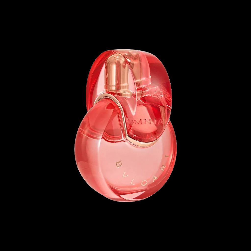 zrY2sXJPuJn-000000000493396228_1