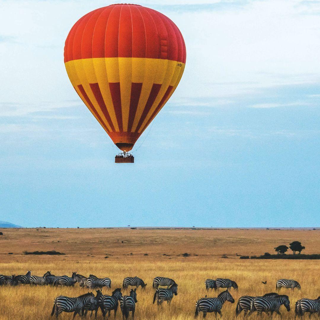 A hot air balloon ride happening in a dense forest.