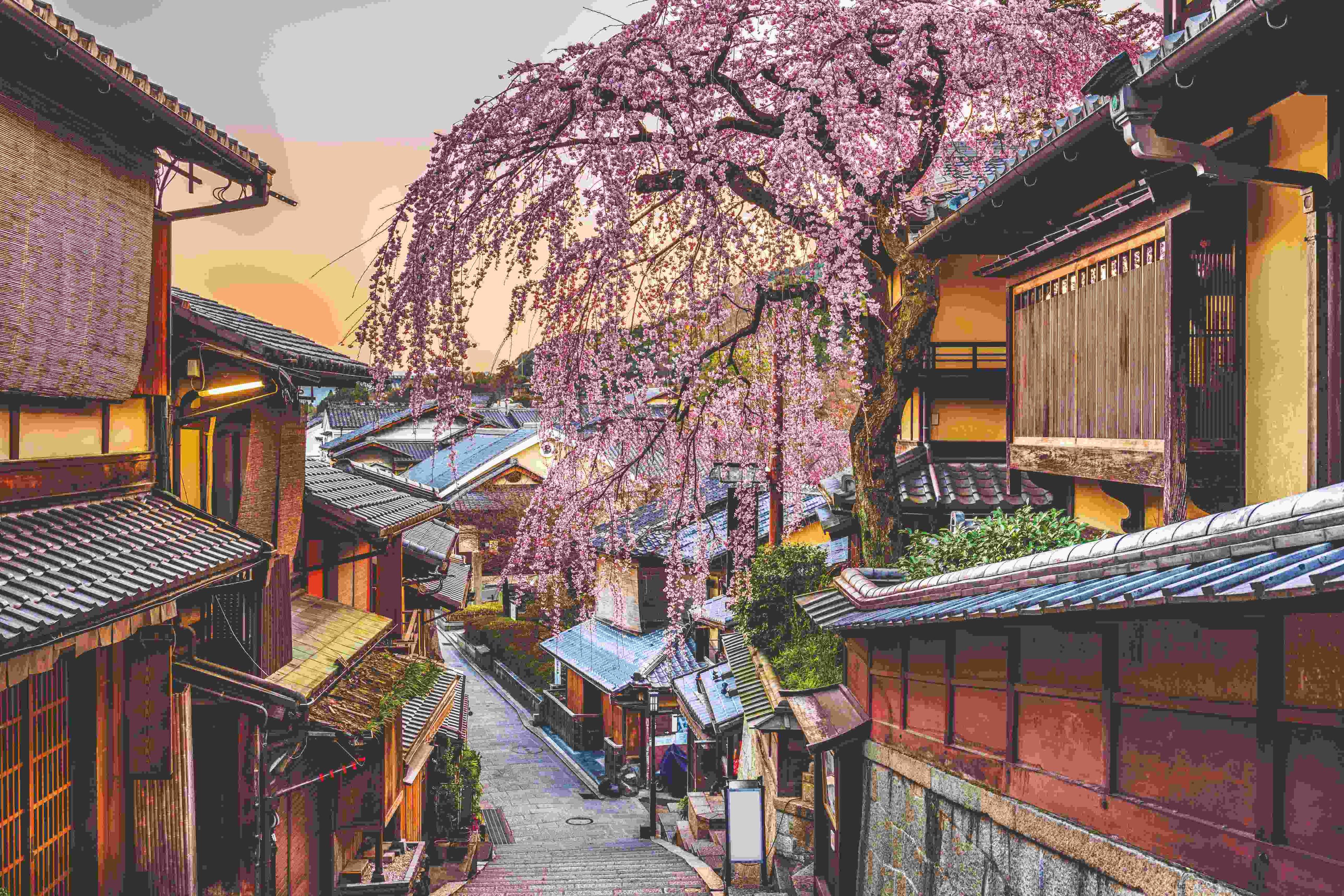 GettyImages-902966276 (3)