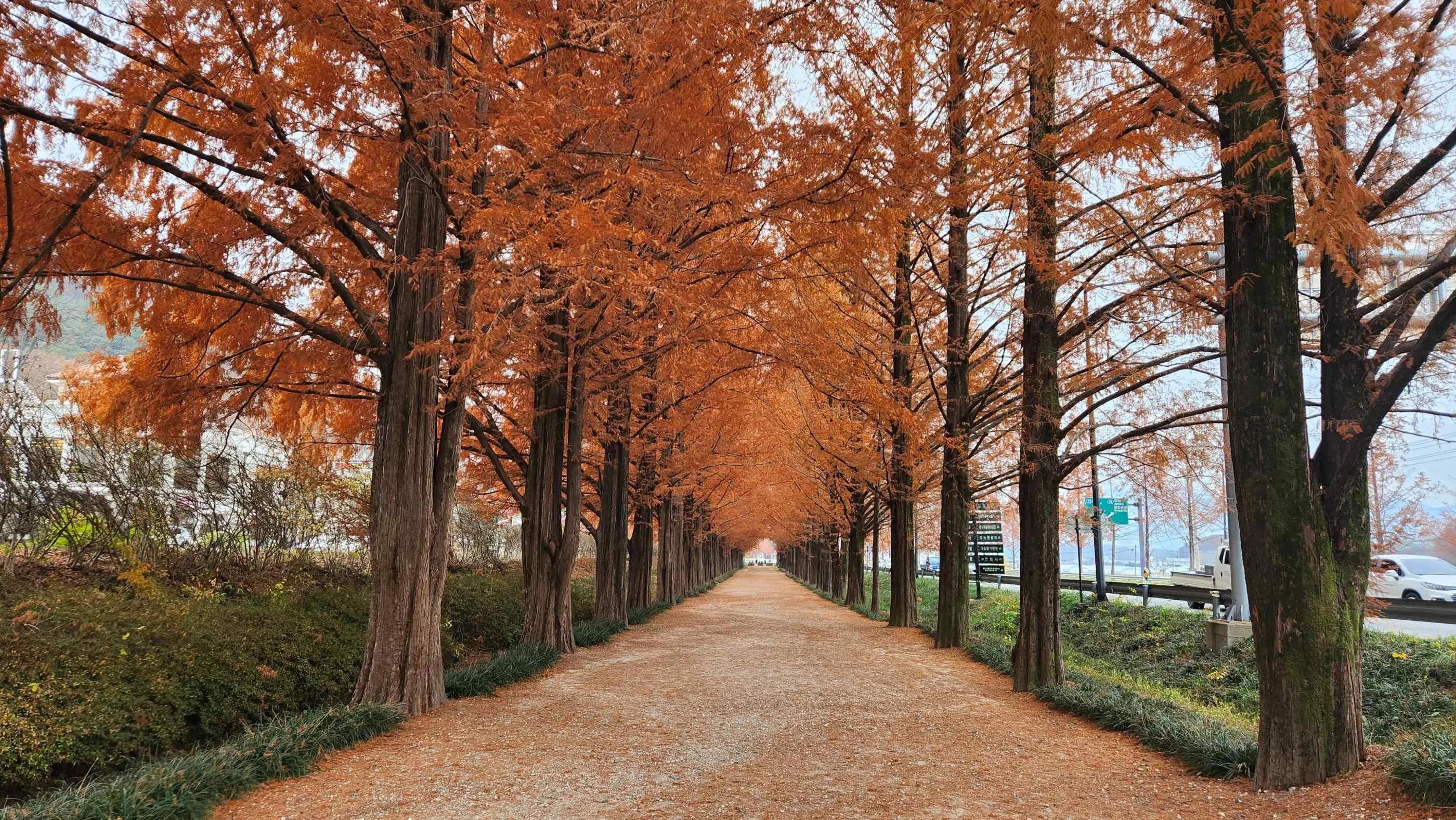 Nami Island (1)