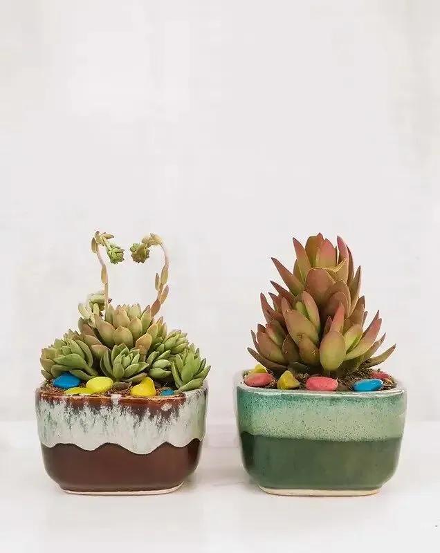 d04adc72bd161e70be571ff719ca462a